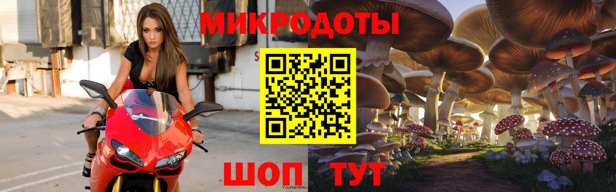 Оренбург  Псилоцибиновые грибы Psilocybe  Вход с VPN 
